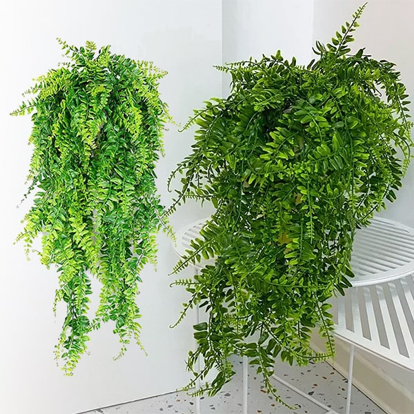 FERNY