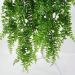 FERNY