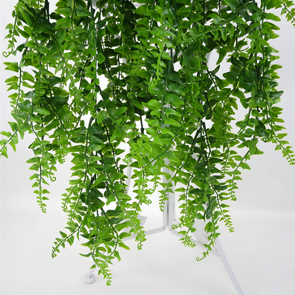 FERNY