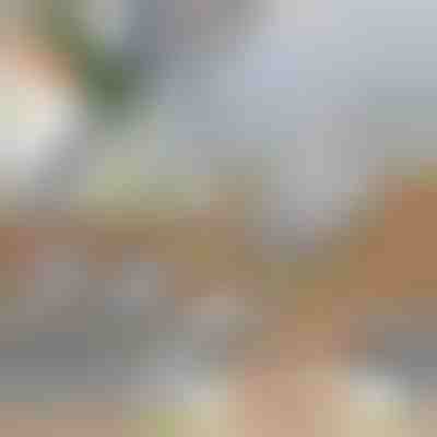 Cortador de verduras multiusos 3 en 1 | SLICEIEST