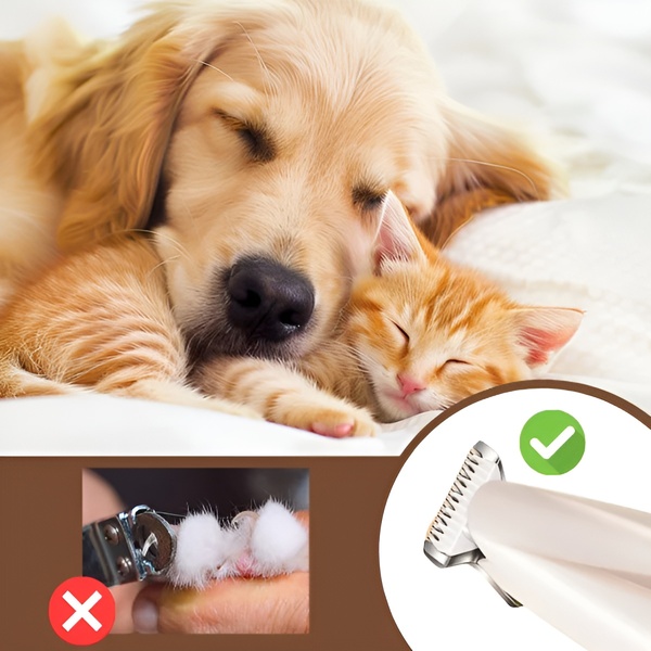 PAWTRIMI15400