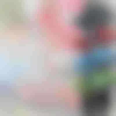 4x Mini coches de juguete | MINICARS