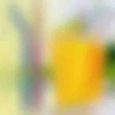 4x pajitas de acero reutilizables | STEELSIP