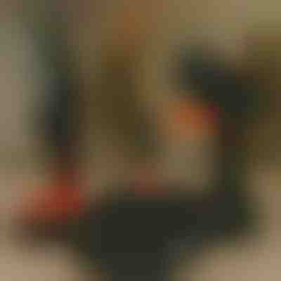 Batería adicional para motosierra | BRENCHIBATTERY