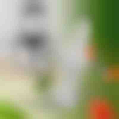 Cuchillas adicionales para MULTIMINCER | MULTIBLADE