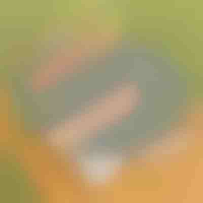 Mangos de madera para KOREPAN