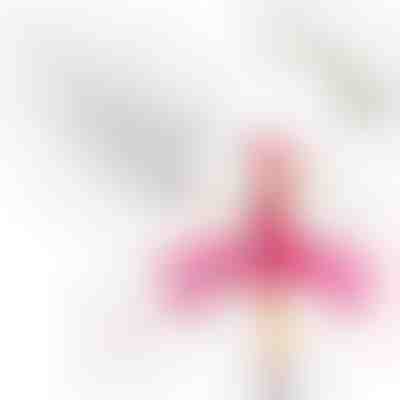 Adaptador de carga de dos puertos para ELLA | POWERLINE