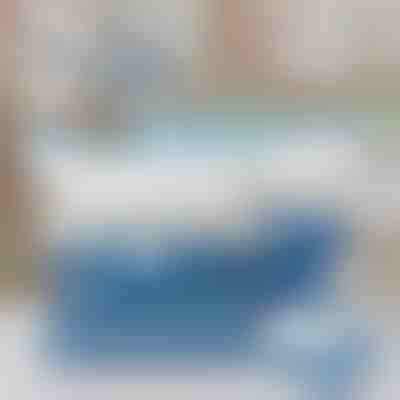 2 bolsas de almacenamiento al vacío grandes + 5 bolsas pequeñas GRATIS | VACUUMBAGSEAL