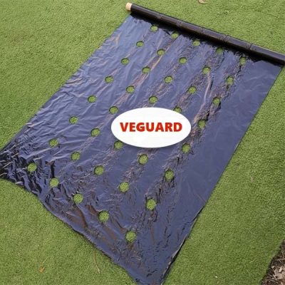 Manta de crecimiento sin malas hierbas (0,95x10m) | VEGUARD
